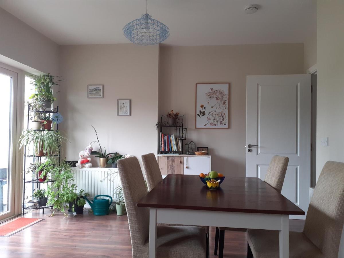Ensuite At The Foot Of Dublin Mountains Exteriér fotografie